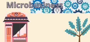 What is microbusiness