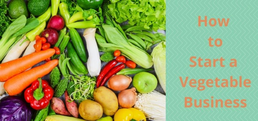 How to start a vegetable business